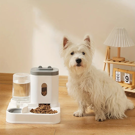 Automatic Cat Dog Feeder with Water Fountain