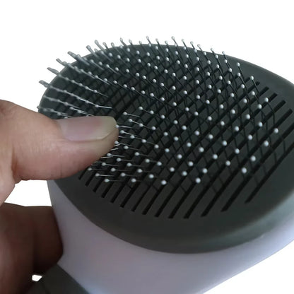 Hair Remover Brush