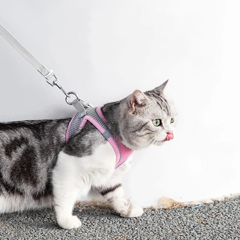 Adjustable Cat Harness Leash Set