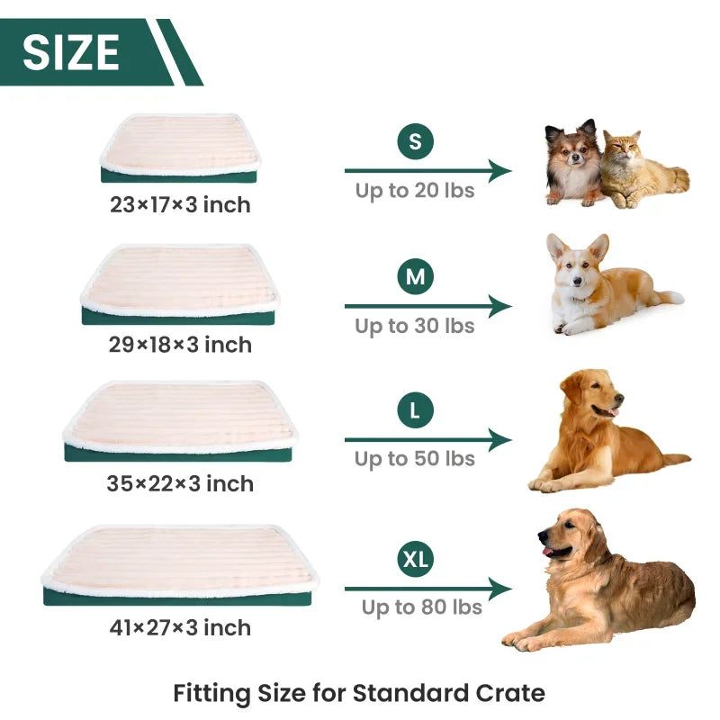 Orthopedic Plush Dog Bed