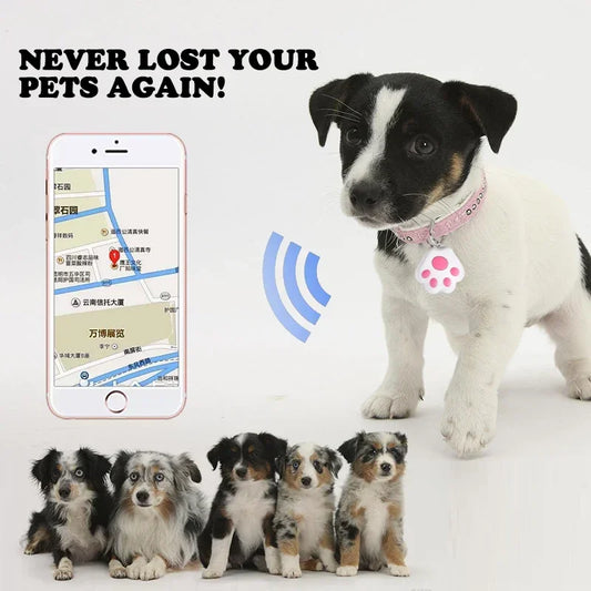 Mini GPS Tracker for Dogs