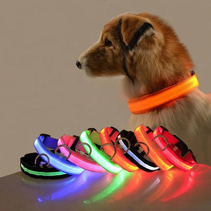 Nylon LED Night Safety Dog Leash