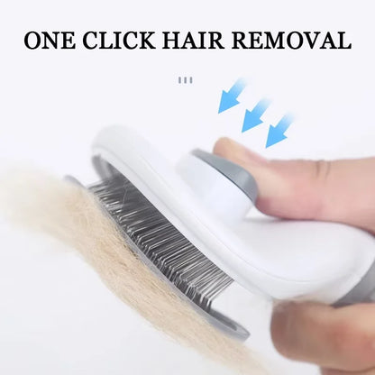 Hair Remover Brush