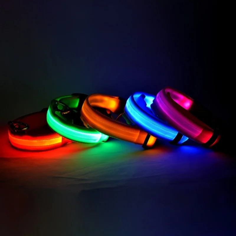 Nylon LED Night Safety Dog Leash