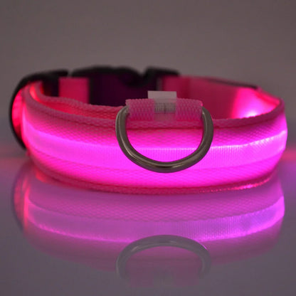 Nylon LED Night Safety Dog Leash