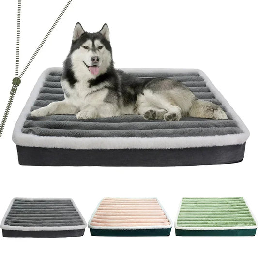 Orthopedic Plush Dog Bed