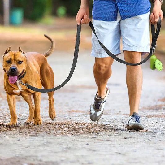 Reflective Pet Harness Leash Collar Strap